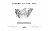 CANADIAN SPECIES AT RISK1 ABOUT COSEWIC COSEWIC MANDATE The Committee on the Status of Endangered Wildlife in Canada (COSEWIC) assesses the national status of wild species, subspecies,