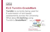 ELS Turnitin-GradeMark · Navigating GradeMark The student submission appears on the left of the split page. Navigation tools appear at the top in the black tool bar. The submission