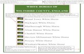 WHITE HORSES OF WILTSHIRE COUNTY, ENGLANDbcs.solano.edu/workarea/mfracisc/CIS 066 Word f-2-f... · WHITE HORSES OF WILTSHIRE COUNTY, ENGLAND Broad Town White Horse Hackspen White