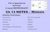 Ch 13 Notes – Meiosis...chromosomes, which combine genes inherited from each parent Crossing over begins very early in prophase I, as homologous chromosomes pair up gene by gene