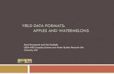 YIELD DATA FORMATS: APPLES AND WATERMELONSp… · Yield Data Formats. Yield = Grain / Area. Where: Grain = Grain volume for a time interval. Area = Harvest area for that time interval.