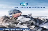 PURESCANDINAVIA · snowmobiling, ice fishing, downhill and cross country skiing, snowshoe walking, tobogganing and more. SKIING Skiing in Lapland is probably not the first activity