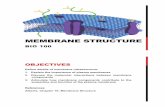 MEMBRANE STRUCTURE - molcellbio.files.wordpress.com€¦ · 03/07/2017  · MEMBRANE STRUCTURE BIO 100 OBJECTIVES Define details of membrane ultrastructure: 1. Explain the importance