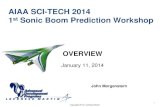AIAA SCI-TECH 2014 1st Sonic Boom Prediction Workshop · AIAA SCI-TECH 2014 Sonic Boom Prediction Workshop Test Case 2 • NASA 69deg Delta Wing (WB) – CAD geometry based on limited