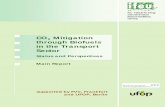 CO2 Mitigation through Biofuels in the Transport Sector ... · 2 Mitigation through Biofuels in the Transport Sector Status and Perspectives Main Report Heidelberg, Germany, August