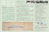 建築資料にみる坂倉準三 - Kagoshima U日本の建築の多くが、この半世紀、木造から 鉄筋コンクリート、鉄骨造に変わり、私たちの 生活空間はモダンムーブメントの潮流の上に