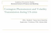 Contagion Phenomenon and Volatility Transmission during US crisisfinsys.rau.ro/docs/msc-tasca.pdf · 2013. 7. 1. · Introduction The recent Global Financial Crisis has made a tremendous