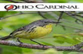 Devoted to the Study and Appreciation of Ohio’s Birdlife Vol ......Devoted to the Study and Appreciation of Ohio’s Birdlife • Vol. 38, No. 3, Spring 2015 On the cover: This female