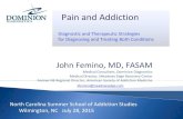 Pain and Addiction · Pain and Addiction North Carolina Summer School of Addiction Studies Wilmington, NC July 28, 2015 JFemino@meadowsedge.com Apply understanding of neurotransmission