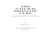 THE NATURAL PROSTATE CURE · prostate is an integral part of the reproductive system. Men may encounter three main problems: infection (prostatitis), enlargement (benign prostate