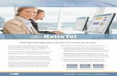 RLT300 VoIP-QoS-Solution Brief Jan2011 Web · 2019. 10. 7. · performance of the underlying IPT service delivery network – through three key functions: Analyze, Manage, and Optimize.