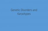 Genetic Disorders and Karyotypes...Karyotypes •A karyotype is a diagram that shows a cell’s chromosomes arranged in order from smallest to largest. •Made from a photo taken through