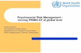 Psychosocial Risk Management : moving PRIMA -EF at global ... · Taking PRIMA-EF to the EU27 …and the global level within the comprehensive approach…. WHO Global Plan of Action