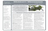 Merriott Messenger - Microsoftbtckstorage.blob.core.windows.net/site1271/Messenger/June... · 2015. 5. 24. · Superb drama set in the closing days of world War 2. rad Pitt is the