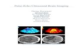 Pulse-Echo Ultrasound Brain Imagingseniord.ece.iastate.edu/projects/archive/dec1301/...Testing pg. 14 Budget pg. 17 April 28, 2013 DESIGN DOCUMENT DEC13-01 | Ultrasound Brain Imaging