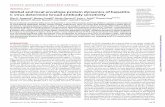 IMMUNOLOGY Copyright © 2020 Global and local envelope … · Augestad et al., Sci. Adv. 2020 : eabb5938 26 August 2020 SCIENCE ADVANCES| RESEARCH ARTICLE 1 of 12 IMMUNOLOGY Global