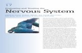 Evaluating and Treating the Nervous System - Avian Medicineavianmedicine.net/.../uploads/2013/08/17_nervous_system.pdf · 2013. 8. 17. · 17 Nervous System SIMON R. PLATT, BVM&S,