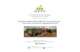 Sustainable Woodfuel Harvesting – Finnish Practical ...€¦ · Sustainable Woodfuel Harvesting – Finnish Practical Applications Martti Kuusinen ... brought together with the
