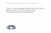 Consumer Financial Protection Bureau - Fair Lending Report of the Bureau of Consumer ... · 2018. 4. 5. · 4 FAIR LENDING REPORT OF THE BUREAU OF CONSUMER FINANCIAL PROTECTION, DECEM