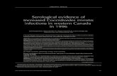 Serological evidence of increased Coccidioides immitis ...downloads.hindawi.com/journals/cjidmm/1998/973945.pdf · Serological evidence of increasedCoccidioides immitis infections