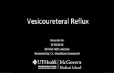 Vesicoureteral Reflux, Lin Amanda MS4, M. Kumaravel MD ......Amanda Lin 9/18/2019 DII RAD 4001 elective Reviewed by: Dr. Manickam Kumaravel . McGovern Medical School Clinical History-2