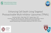 Enhancing Cell Death Using Targeted Photoactivable Multi ... · Dominique Pablito 1, Girgis Obaid, PhD 2, Tayyaba Hasan, PhD 2 1 University of Utah, Salt Lake City, Utah, 2 Wellman