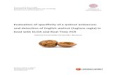 Evaluation of specificity of a walnut antiserum and ...uu.diva-portal.org/smash/get/diva2:224638/FULLTEXT01.pdf · INTRODUKTION Utan livsmedel kan vi inte överleva och människan