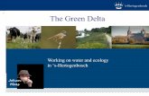 The Green Deltatheweathermakers.nl/.../11/Presentation-s-Hertogenbosch-Johan-Me… · 1. Natuurbouw – en begrazing Ertveldpolder 2. Inpassen en bereikbaar woonboten 3. Marggraaf