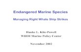 Managing Right Whale Ship Strikes · – Chinese River dolphin – Gray whale (western north Pacific) – Gulf of California harbor porpoise – Indus River dolphin – Mediterranean