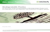 Key Issue Paper - manufacturers of polythene bags ... · Low-cost conventional plastic products therefore do not reflect the total cost of their environmental bur-den6. Biodegradable