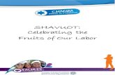 SHAVUOT: Celebrating the Fruits of Our Labor · teach students Hebrew vocabulary for basic dairy products give them insight into contemporary Israeli eating habits provide them with