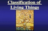 Classification of Living Things · Classification of Living Things . Big Question ... identifying unfamiliar organisms ... •Branch of biology that groups and names organisms . The