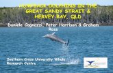 New Humpback dolphins in the Great Sandy Strait and Hervey Bay, Qld · 2009. 2. 20. · Sandy Strait and Hervey Bay. DISTRIBUTION SUMMARY • 54 dolphins in the analysis-P= 0.78 ±0.99-Mean