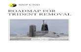 ROADMAP FOR TRIDENT REMOVAL - …party committee and they took expert advice from scientists. TRIDENT REMOVAL: THE KEY STEPS Ainslie’s Disarming Trident describes an eight step process.