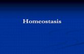 Homeostasis of the body · What is Homeostasis? Body cells work best if they have the correct Temperature Water levels Glucose concentration Your body has mechanisms to keep the cells