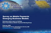 Survey on Mobile Payments Emerging Business Models€¦ · 28/2/2008  · business case, need/unwillingness of carriers to cooperate Others believe that if you look harder, the benefits
