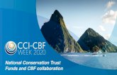National Conservation Trust Funds and CBF collaboration · National Conservation Trust Funds and CBF collaboration . ccicbfweek.org Update on NCTFs and partnerships to date. NCTFs