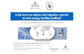 Is the focus on raptors and migratory species at wind ...€¦ · Is the focus on raptors and migratory species at wind energy facilities justified? By Vonica Perold1, Samantha Ralston-Paton2and