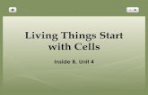 Living Things Start with Cells - Middle School ESLmiddleschoolesl.weebly.com/uploads/3/8/2/6/3826849/... · Living Things Start with Cells Inside B, Unit 4 . What is a living thing?