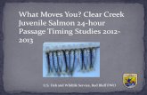 What Moves You? Clear Creek Juvenile Salmon 24-hour ......Dec 15, 2011  · Chn Catch 12/15/11 Chn Catch 12/19/11 Chn Catch 1/4/12 Chn Catch 1/19/12 Chn Catch 2/1/12 Chn Catch 2/16/12