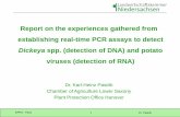 Report on the experiences gathered from establishing real ...€¦ · EPPO - Paris 1 Dr. Pastrik Report on the experiences gathered from establishing real-time PCR assays to detect