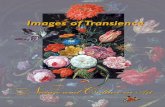 Images of Transience - Trout GalleryImages of Transience:Nature and Culture in Art illuminates the process of ﬁnding meaning in some of the most famil-iar pictorial imagery while