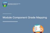 Module Component Grade Mapping - University College Dublin€¦ · Activity 3: Grade Transfer –InfoHubto Gradebook 13 Support 18 FAQs 19 ... module’s assessment strategy is accurately