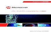 パワーディスクリートおよびモジュール製品 - Microchip …ww1.microchip.com/downloads/jp/DeviceDoc/00003052B_JP.pdfパワー製品 3 絶縁ゲート型バイポーラ