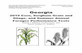 2019 Corn, Sorghum Grain and Silage, and Summer Annual ... · 2 Annua ublicatio 101-11 Georgia 2019 Corn, Sorghum Grain and Silage, and Summer Annual Forages Company or Hybrid Relative