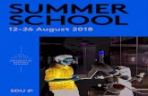SUMMER SCHOOL - 复旦大学国际合作与交流处 · Continuous Delivery and DevOps You will learn about the developer mind-set and how to use cutting-edge tools in hands-on exercises