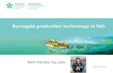 Surrogate production technology in fishaquagamete.webs.upv.es/wp-content/uploads/2015/12/Slides...Germline stem cells are the origins of all germ cells and gametes. 1) Primordialgerm