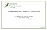 Climate Change in the 2014-2020 Cohesion Policy Dr Keti …reteambientale.minambiente.it/sites/default/files/... · 2016. 11. 16. · Dr Keti Medarova-Bergstrom Senior Policy Analyst
