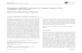 Transgene-mediated resistance to Papaya ringspot virus ...johnhu/201805.pdf · 1988, papaya researchers started using the biolistic ap-proach to transform embryogenic cultures of