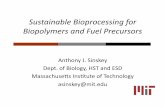 New Sustainable Bioprocessing for Biopolymers and Fuel Precursors · 2013. 10. 30. · overview • Gram+ acnomycete • Capable of catabolizing a wide array of organic compounds